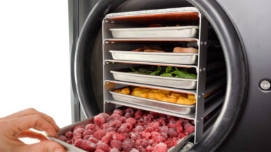 Innovations in Freeze Dryer Technology