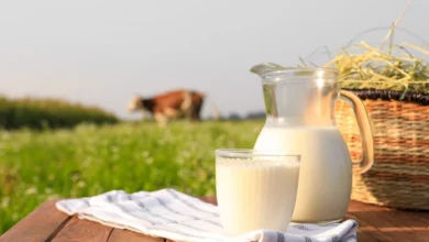 WellHealthorganic Buffalo Milk Tag : A Comprehensive Guide