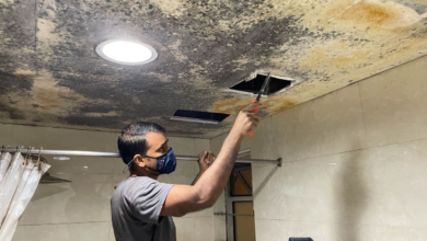 Understanding Mould: Causes, Prevention, and Removal in Singapore